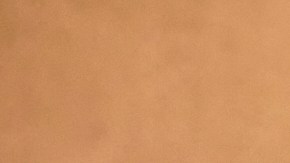 Jennifer López posando.