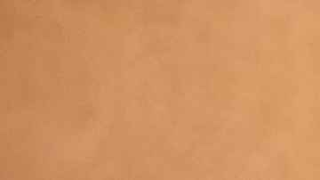 Jennifer López posando.