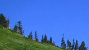 Mount_Rainier_from_above_Myrtle_Falls_in_August