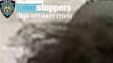 Sospechosos de robo armado en El Bronx (NYC).