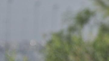 Migrantes permanecen en las inmediaciones del cerco fronterizo con Estados Unidos el 26 de mayo de 2024, en ciudad Juárez, Chihuahua (México).