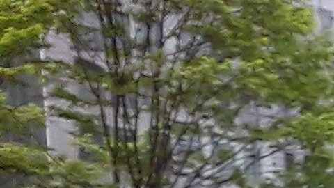 La pandemia dejó oficinas vacías en NYC.