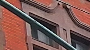 La programación cultural y de entretenimiento estará disponible en los cinco condados.