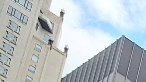 Nueva York es el segundo estado en el país donde reside el mayor número de boricuas. Aunque se siguen desplazando a otros Estados.