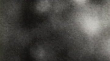 Mariana Levy murió el 29 de abril de 2005.