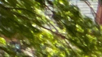 Los comicios primarios tienen a varios hispanos como protagonistas, como a la actual senadora Kristen González por el Distrito 59