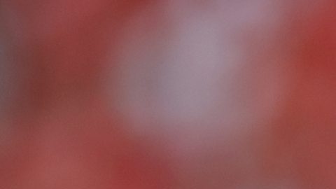 Martin Adam de Hungría reacciona después de perder el grupo de la UEFA EURO 2024.