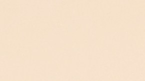 Daniel Noboa comenzó la construcción de la cárcel de máxima seguridad para criminales en Ecuador