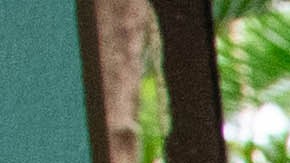 Primarias en Puerto Rico