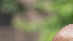 Anuncian más baños públicos en NYC