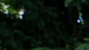 Padres, representantes y niños exigieron la restauración de fondos para planes de cuidado infantil.