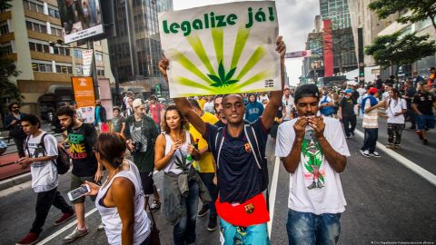 Los manifestantes se reunieron para solicitar que sea legalizada la marihuana.