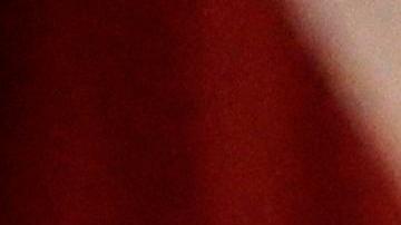 Trump apeló la decisión de mantener a la fiscal Fani Willis al frente del caso por interferencia electoral en Georgia en 2020.