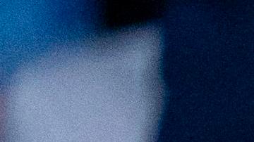 Donald Trump propuso al presidente de UFC crear una liga de lucha para los migrantes "violentos"