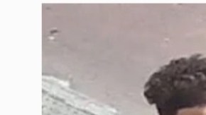Sospechoso de abusar de una niña en un parque en Queens (NYC) Christian Inga