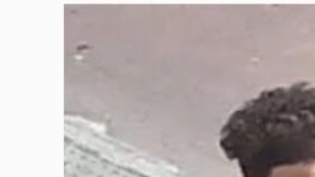 Sospechoso de abusar de una niña en un parque en Queens (NYC) Christian Inga