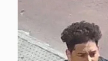 Sospechoso de abusar de una niña en un parque en Queens (NYC) Christian Inga