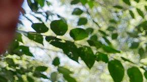 Candidato opositor Álvarez Máynez vota "orgulloso" en México y pide una elección "en paz"