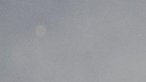 El centrocampista inglés del Real Madrid, Jude Bellingham, durante la celebración en el estadio Santiago Bernabéu del título de Liga de Campeones.