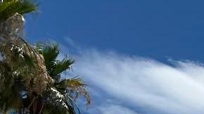 Fotografía donde se observa uno de los contenedores de enfriamiento o 'Cooltainers'.