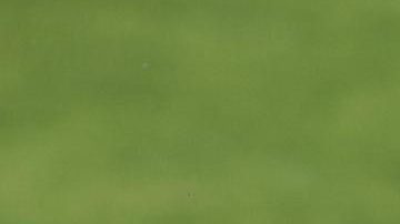 Cristiano Ronaldo durante un entrenamiento de la selección de Portugal.