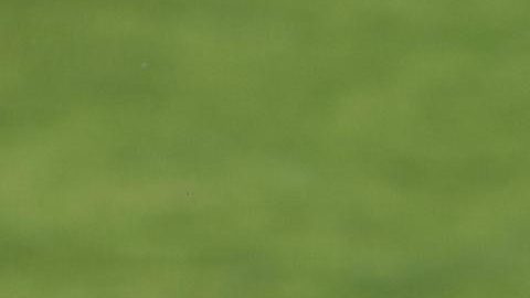 Cristiano Ronaldo durante un entrenamiento de la selección de Portugal.