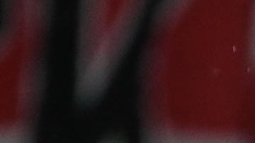 El técnico Rafael Dudamel y los jugadores de Bucaramanga celebran su triunfo.