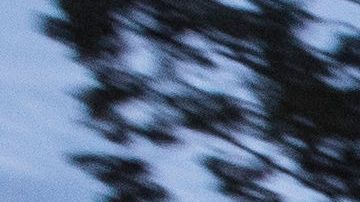 CORRECTION Ebola Americans