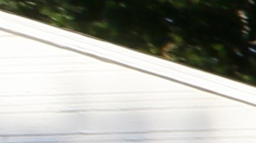 Según las hijas de Dávila, Savanna Gonzales y Michelle García, el perro atacó violentamente a su madre, dejándola con lesiones graves. Foto referencial.