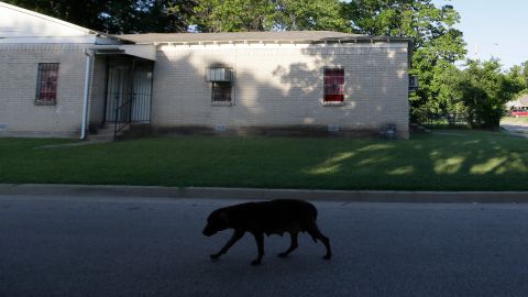 Según las hijas de Dávila, Savanna Gonzales y Michelle García, el perro atacó violentamente a su madre, dejándola con lesiones graves. Foto referencial.