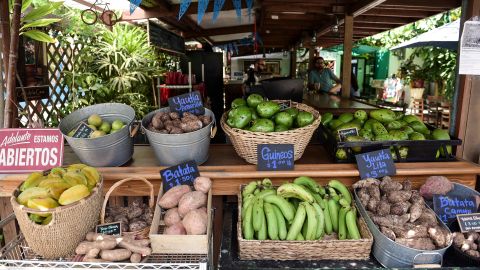 Agricultura Puerto Rico