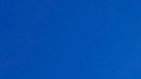 Los ataques de tiburón son muy poco frecuentes, pero el Distrito de Bomberos de South Walton solicitó a los bañistas que fueran "conscientes de la situación en el agua".