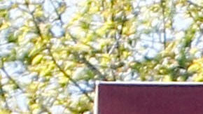 Los Diez Mandamientos en Brookhaven, Mississippi. Foto referencial.