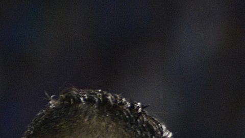 Ricardo Centurion durante su tiempo en Racing.