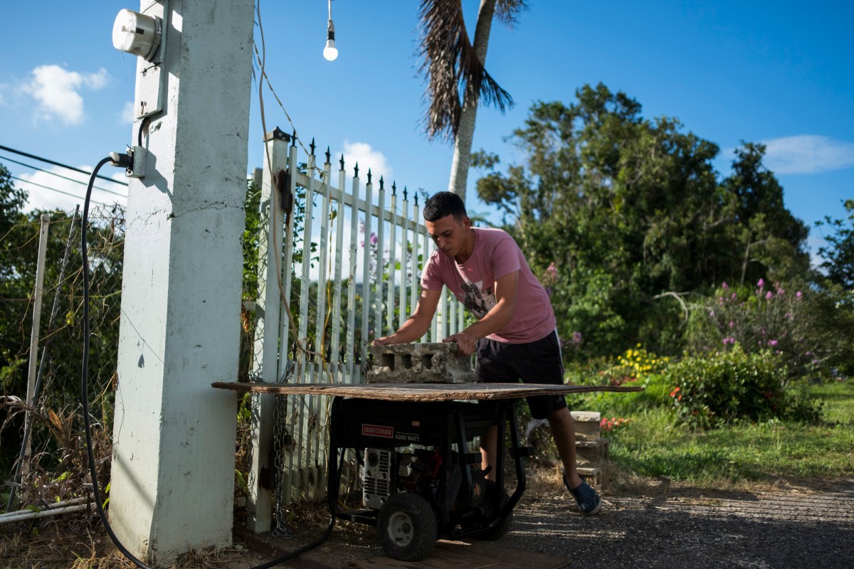 Crisis energética en Puerto Rico: ni las gallinas se salvan del mal servicio de LUMA Energy