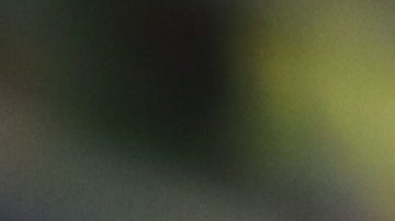 Rafael Dudamel dirigió a Venezuela en las Copa América de 2016 y 2019.