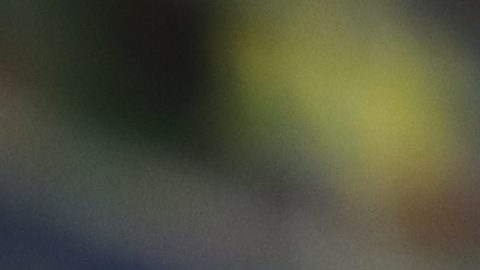 Rafael Dudamel dirigió a Venezuela en las Copa América de 2016 y 2019.
