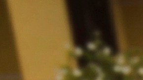 Los detectives no creen que los ocho hayan recibido entrenamiento en el extranjero o hayan sido enviados con alguna misión en particular a Estados Unidos.