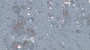 Las playas de Long Island podrían ser más frescas que los apartamentos y el metro de Manhattan.