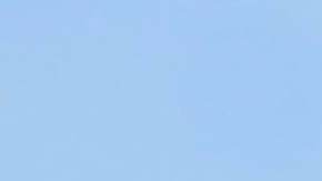 El presidente de El Salvador publicó las imágenes del arresto de los tripulantes de las embarcaciones.