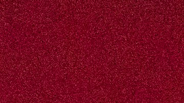 Convencion nacional demócrata 2020