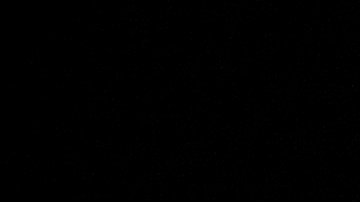 Recientemente Trump se opuso a los esfuerzos por prohibir TikTok este año.