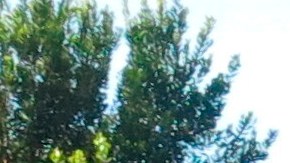 Escuela en Puerto Rico