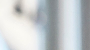 Los sospechosos, descritos como completos extraños para la víctima, aún siguen prófugos de la justicia.