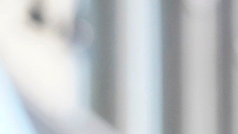 Los sospechosos, descritos como completos extraños para la víctima, aún siguen prófugos de la justicia.