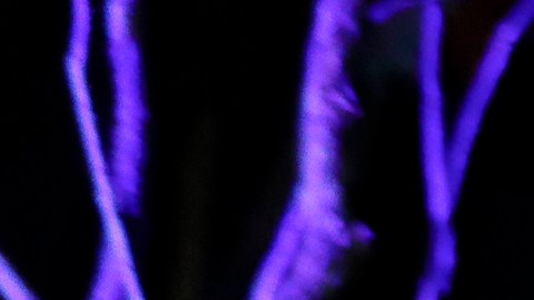 Todo está casi listo para lo nuevo de Halloween Horror Nights.