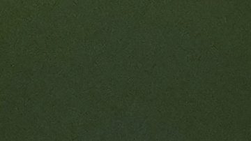 "Disfrutémoslo y ya veremos el día de mañana": Scaloni no quiso opinar sobre el retiro de Messi