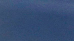 Denuncian que el presidente Daniel Ortega tiene a su hermano incomunicado y sin atención médica