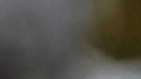 El tackle ofensivo de los Dallas Cowboys, Josh Ball (75), espera en la banca antes de un partido de fútbol americano de la NFL contra los Jacksonville Jaguars, el domingo 18 de diciembre de 2022, en Jacksonville, Florida. Los Jaguars derrotaron a los Cowboys 40-34 en tiempo extra. (AP Photo/Gary McCullough).