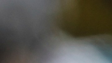 El tackle ofensivo de los Dallas Cowboys, Josh Ball (75), espera en la banca antes de un partido de fútbol americano de la NFL contra los Jacksonville Jaguars, el domingo 18 de diciembre de 2022, en Jacksonville, Florida. Los Jaguars derrotaron a los Cowboys 40-34 en tiempo extra. (AP Photo/Gary McCullough).